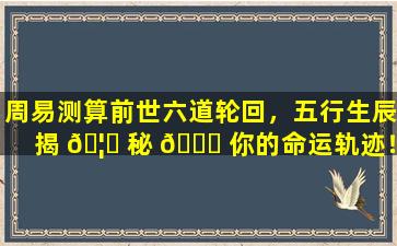 周易测算前世六道轮回，五行生辰揭 🦁 秘 💐 你的命运轨迹！